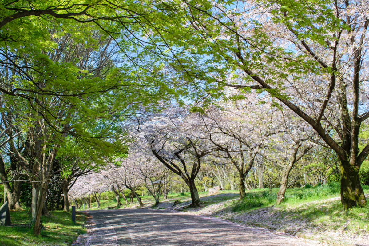 千里南公園
